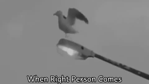 To find the right person, you must first BE the right person.”