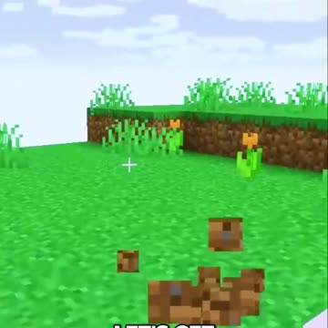 Transforming Your Prom Ride: DIY Birch Limousine