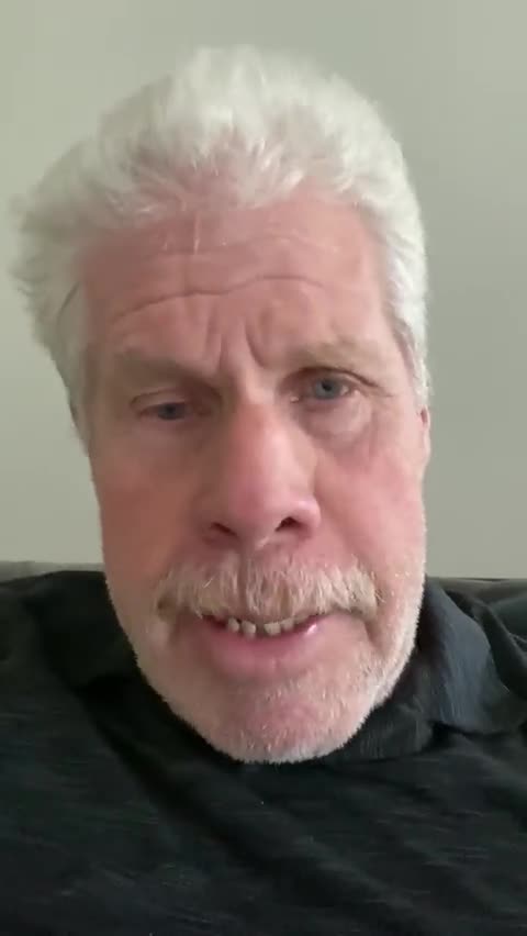 Woke actor Ron Perlman sends abusive message to Governor Ron DeSantis
