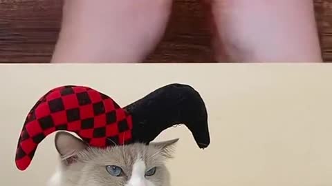 It’s all about the music and Halloween 🎃 🃏