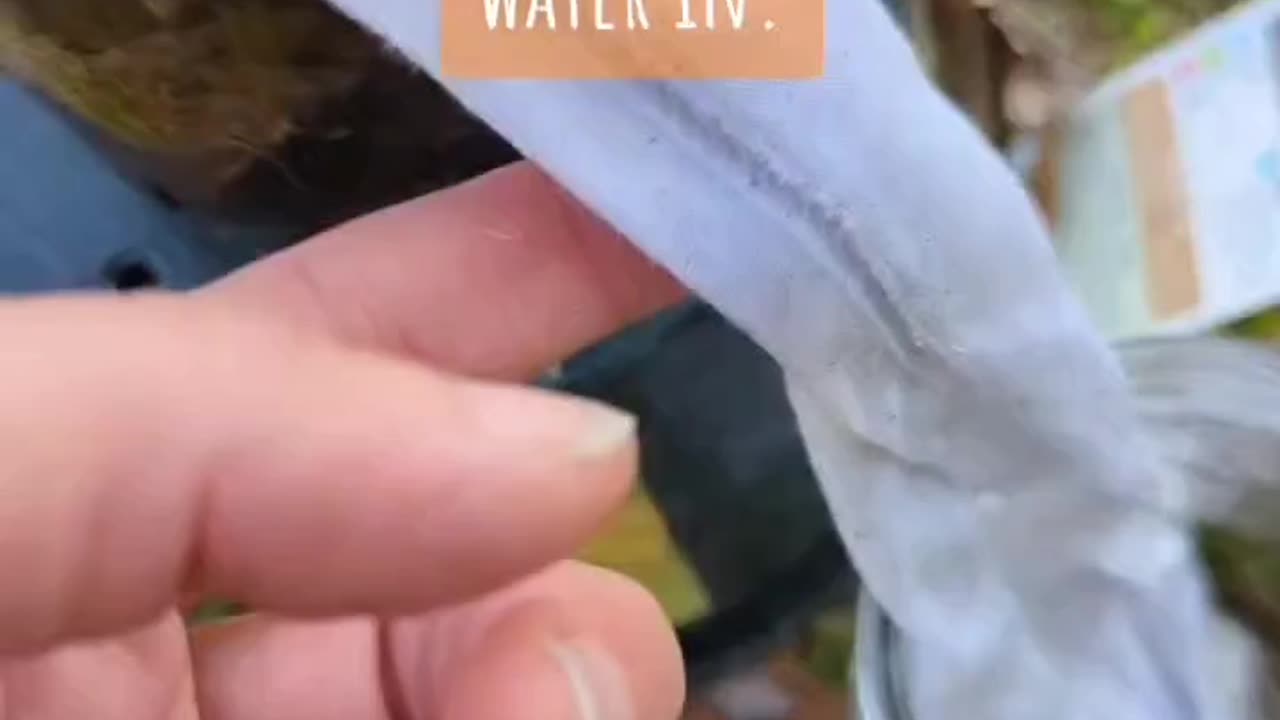 HOW TO FILTER YOUR WATER FOR SURVIVAL OR AN EMERGENCY