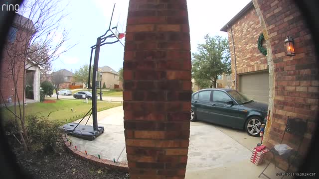 Pup Steals Sandwich From Porch