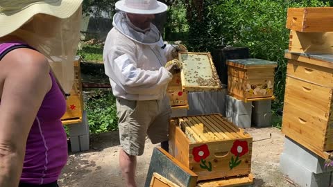 WE MAY BE AT A LOSS !! NEW BEEKEEPER