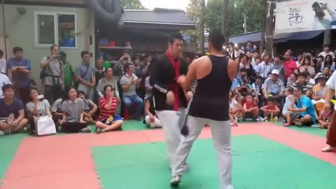 Capoeira vs Taekwondo - Real Fight - part 2