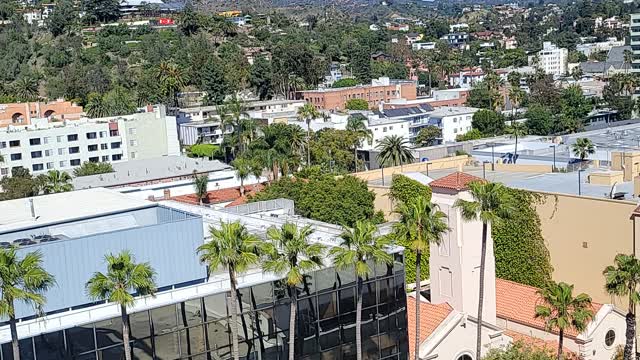 VIEW FROM THE OFFICE.