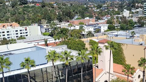 VIEW FROM THE OFFICE.