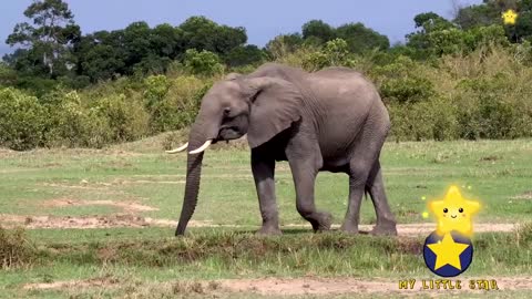 Animals for Kids 25 min Farm animal sound