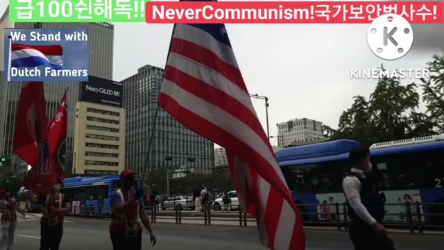 #FreedomRally#FreedomMarch#NeverKoreanWarEndDeclaration#NeverCommunism#FightForFreedom#일파