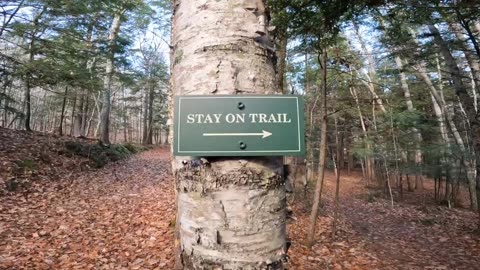 Stay on Trail