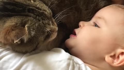 Baby and cat friendship