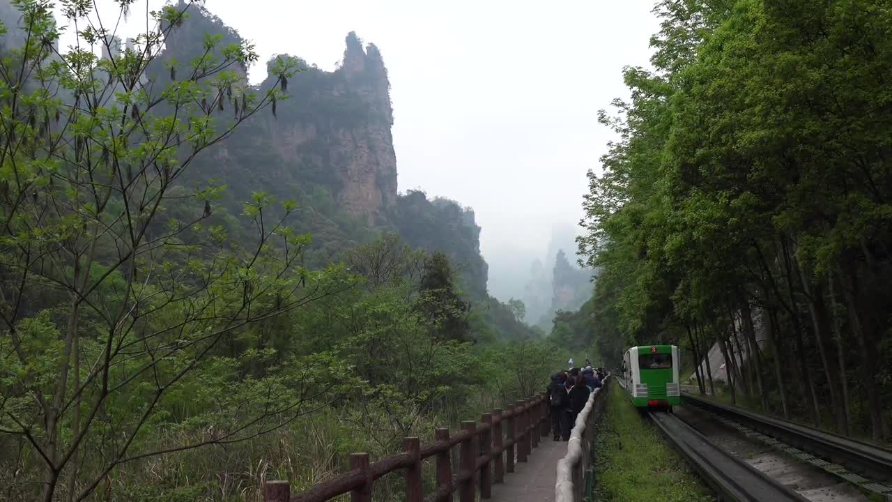 "Avatar" Mountain & Wulingyuan Scenic Area