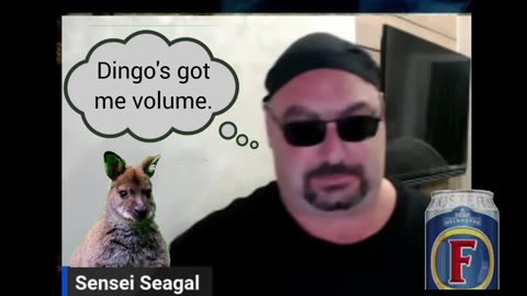 Sensei Seagal Dubstep