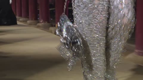 ***Gucci Cruise 2024 Fashion Show***