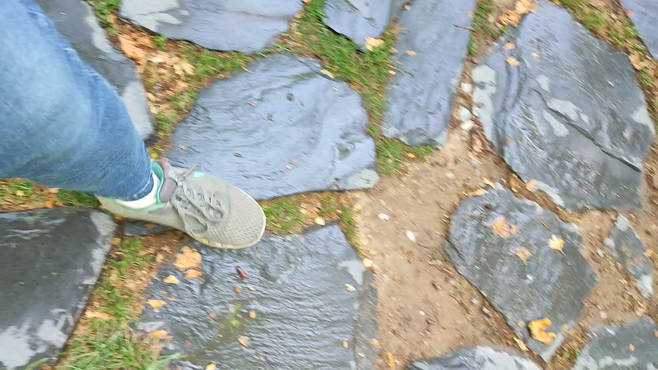 Walking