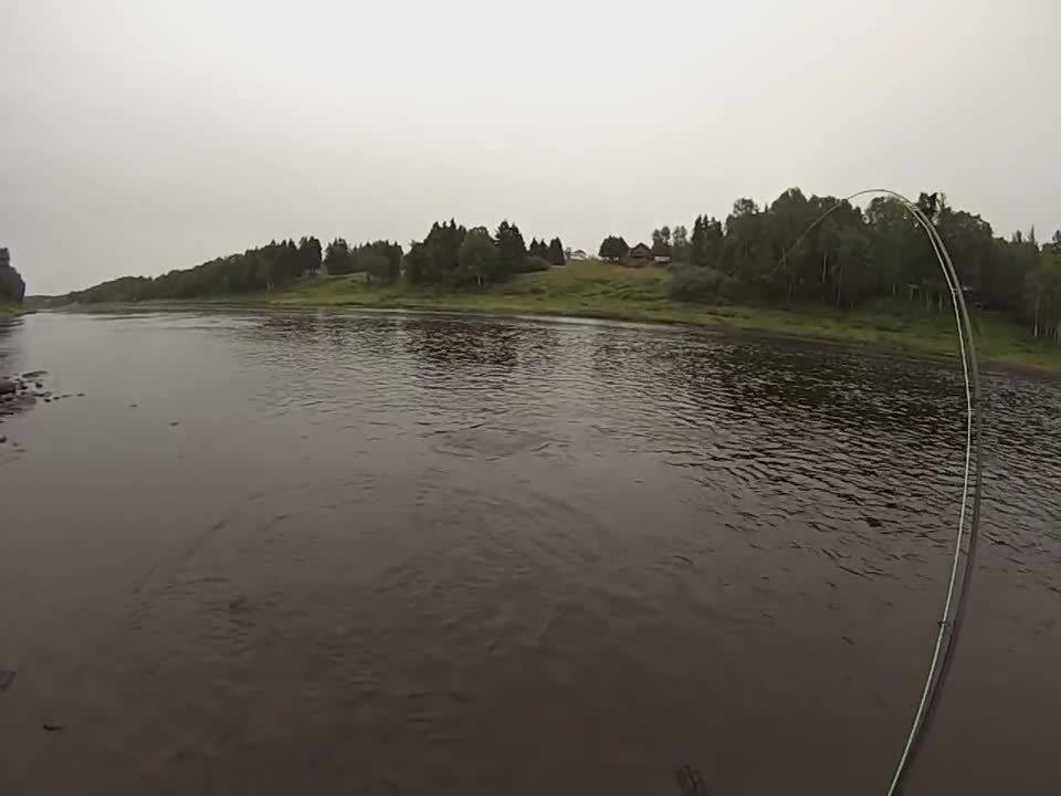 Curious Visitor While Fly Fishing