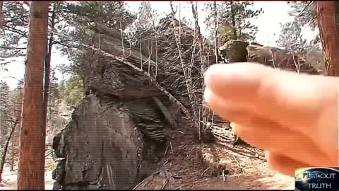 Biblical Trees & Their Remains pt 3