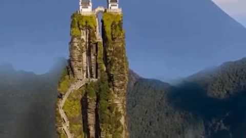 #Useful#Beautiful#Funny #Funny video#laugh# interesting#video#short video#short#short cut