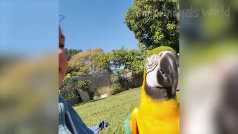 Funny Animal Videos 2023 😇 - Funniest Dogs and Cats Videos 😁 #11