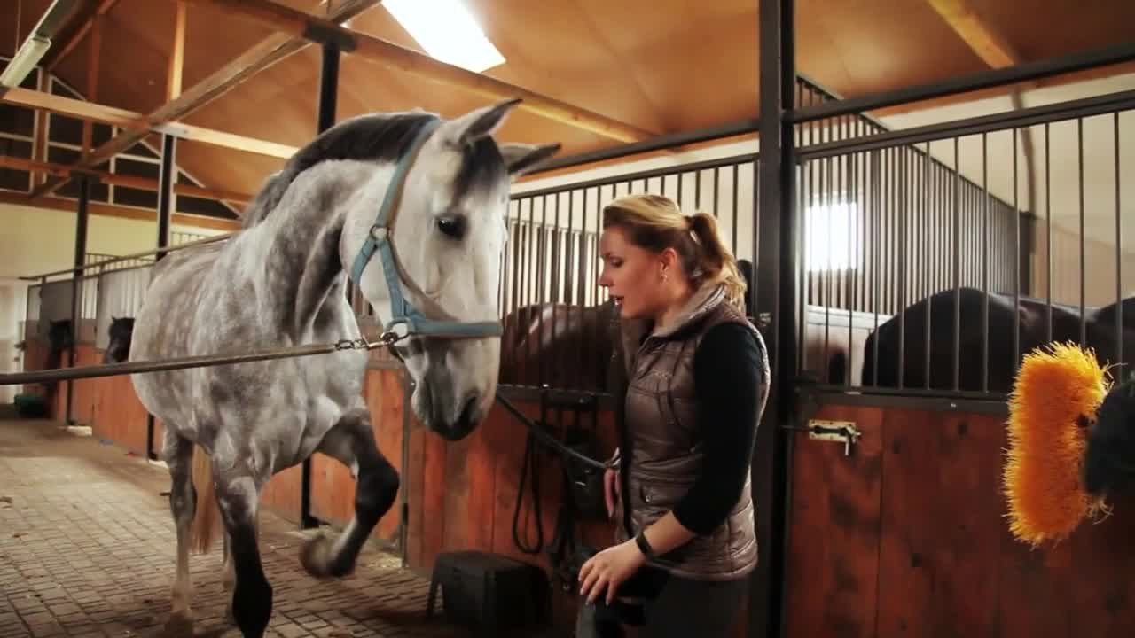 Woman and young girl stroge wash the horse in a stable play funny hobby