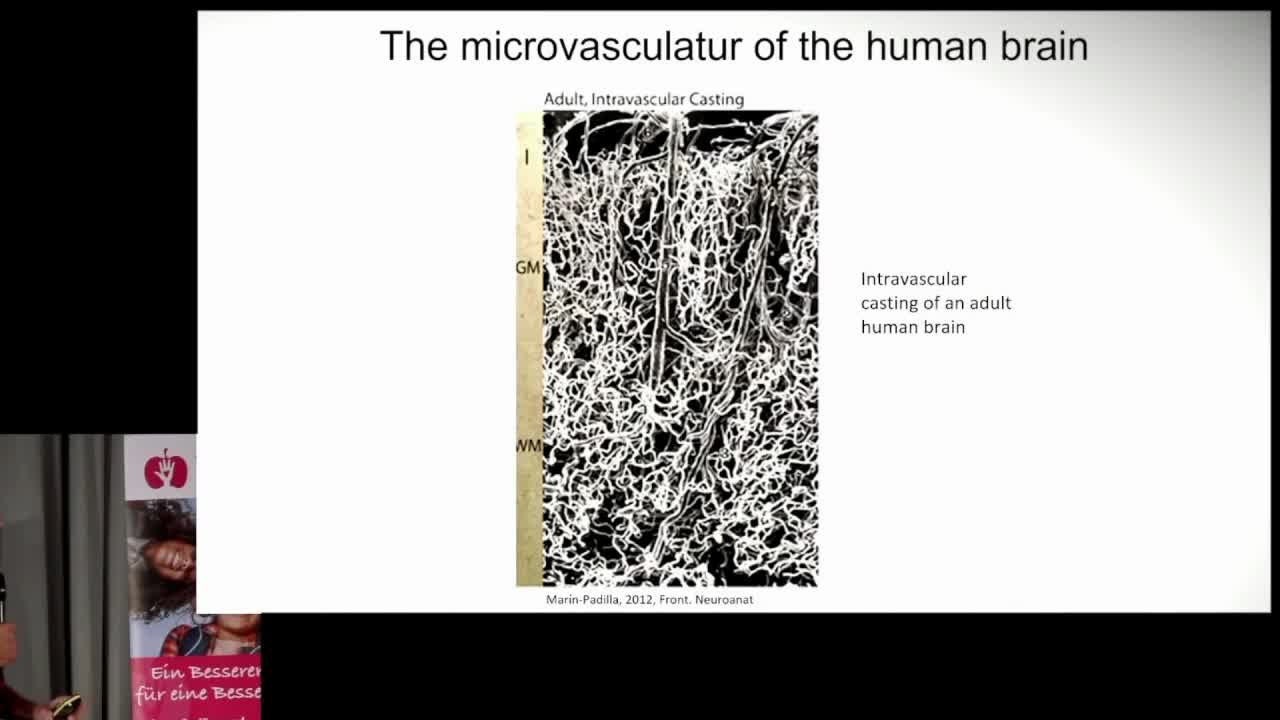 Dr Sucharid Bhakdi analysis of mRNA for all vaccination on earth.