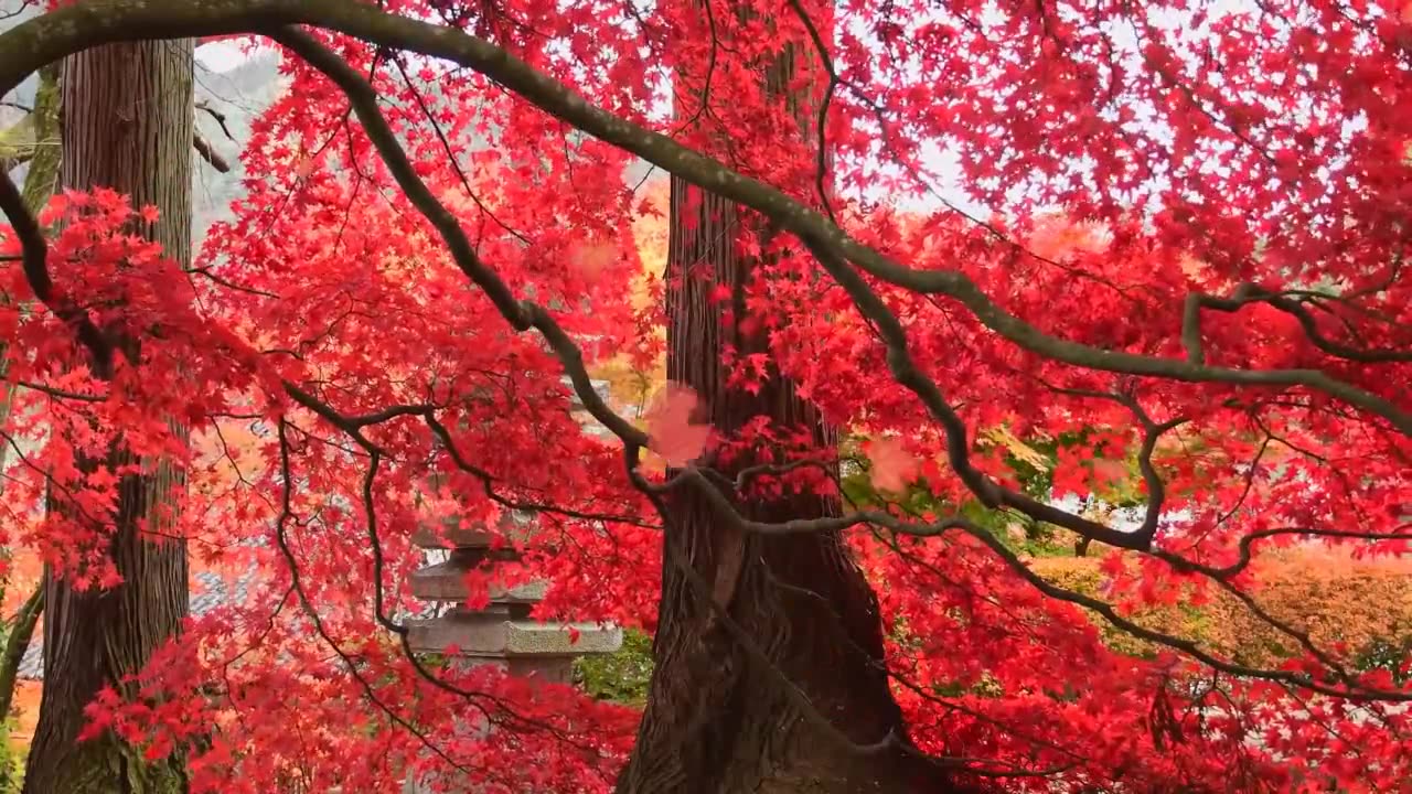 nature