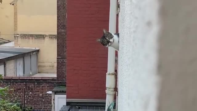 We thought someone was watching us in our Air bnb in Paris..