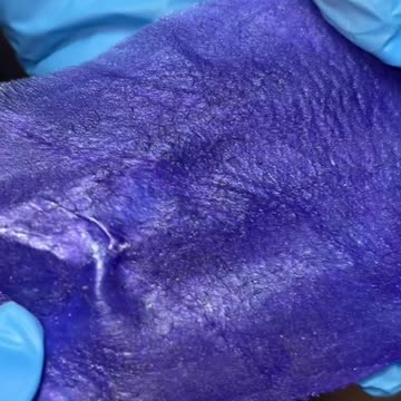 Smooth Underarm Waxing with Hypnotic Purple Seduction Hard Wax | Waxing Queen Adventures