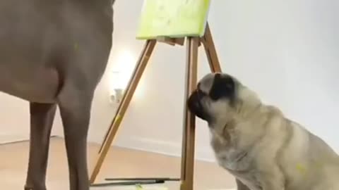 Pablo Picasso, Painter Dog #shorts #viral #shortsvideo #video