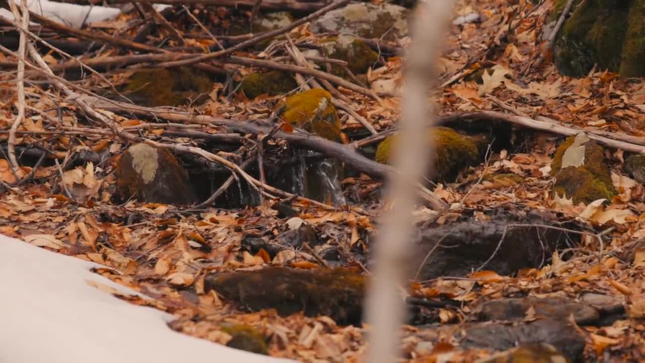 Peaceful Spring Moments in the Berkshire Mountains-15