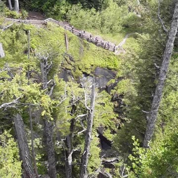 Narada Falls, Mount Rainier National Park, Washington 6/23/23