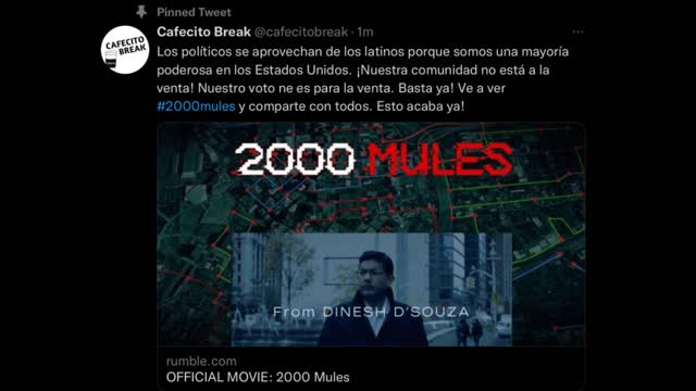 Las Mulas Que Ayudaron Con El Robo #2000mules