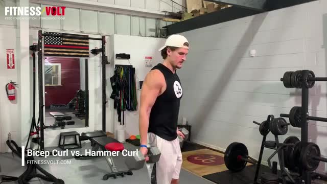 Bicep curl vs hammer curl