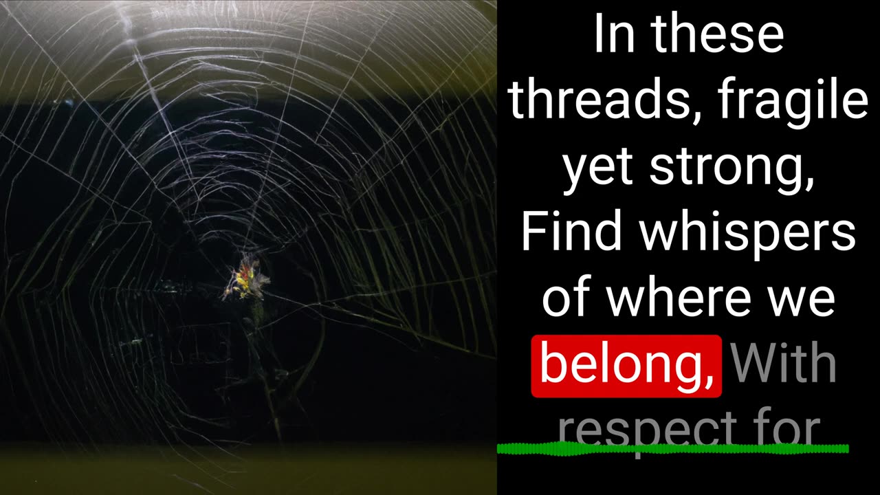 Lessons from a Spider's Web