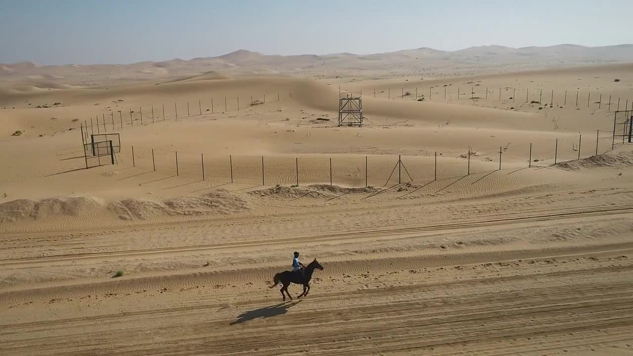 Aerial view of one person riding horse in the desert of Al Khatim in Abu Dhabi