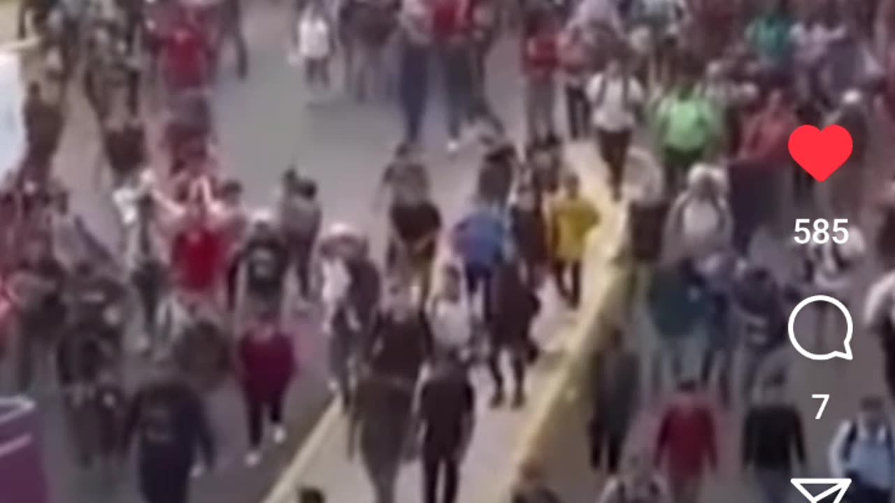 NGO Human Traffickers