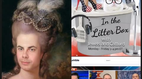 Pothole Butthead Pete Buttigieg makes Catturd's litterbox