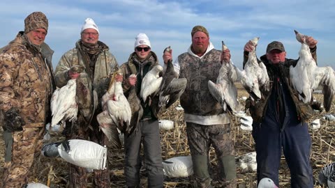 Snow Goose Hunt 2023