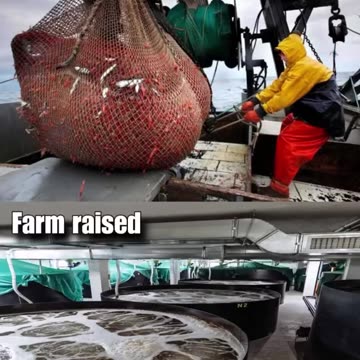 Know your labels, organic vs. non-organic