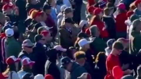 TRUMPMAFIA - When the MAGA King comes to Town, it's AWESOME. Rock n Roll