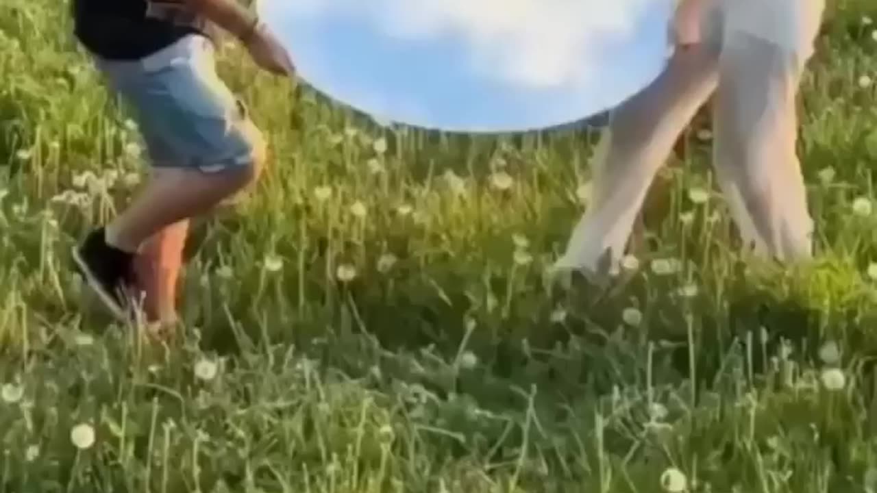 Reel vs reality