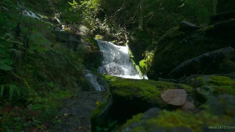 北海道 夏天的尾巴 _ 4K HDR