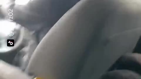 The end 😂😂😂 #funny #viral #shorts #funnyvideos #trustedhumor