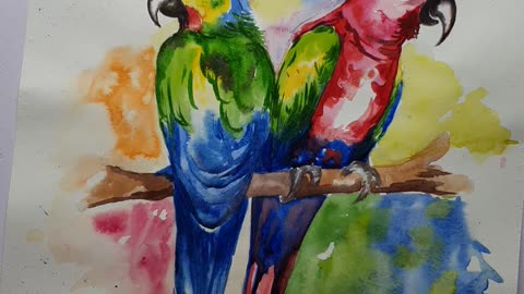 Parrot painting video