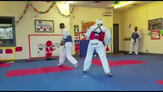 Best Taekwondo Kicks