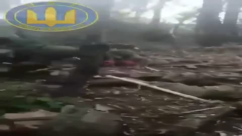 Como se afirma, este video fue filmado en su teléfono por el ocupante durante la batalla en la regi