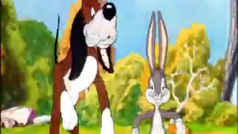 Funny Cartoon & Bugs Bunny