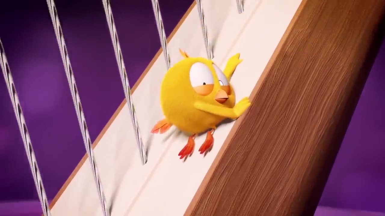 Chicky Cartoon in English for Kids