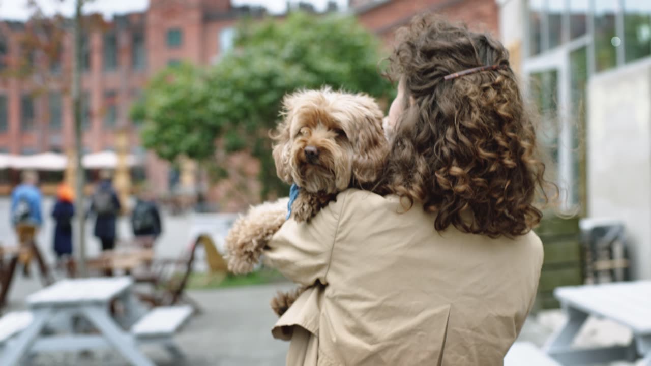The owner is going to hospital because the dog is so sick (new dog video)