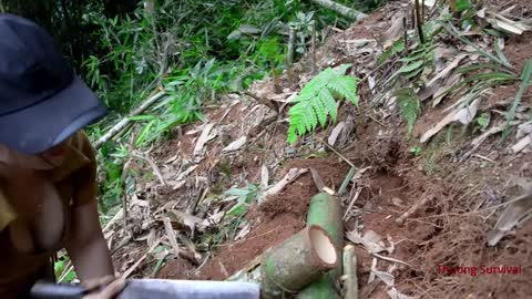 Making Rafts to Fight Crocodiles - Slip and Fall into the Lake/ Bushcraft & Survival P.2