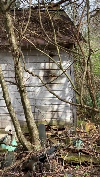 Short Clip of the Mother Honeybee Colony...